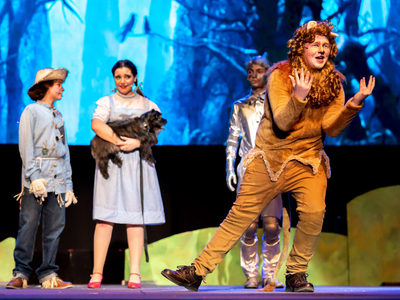 A man in a lion costume showcasing his artistic expression in the realm of Fine Arts.