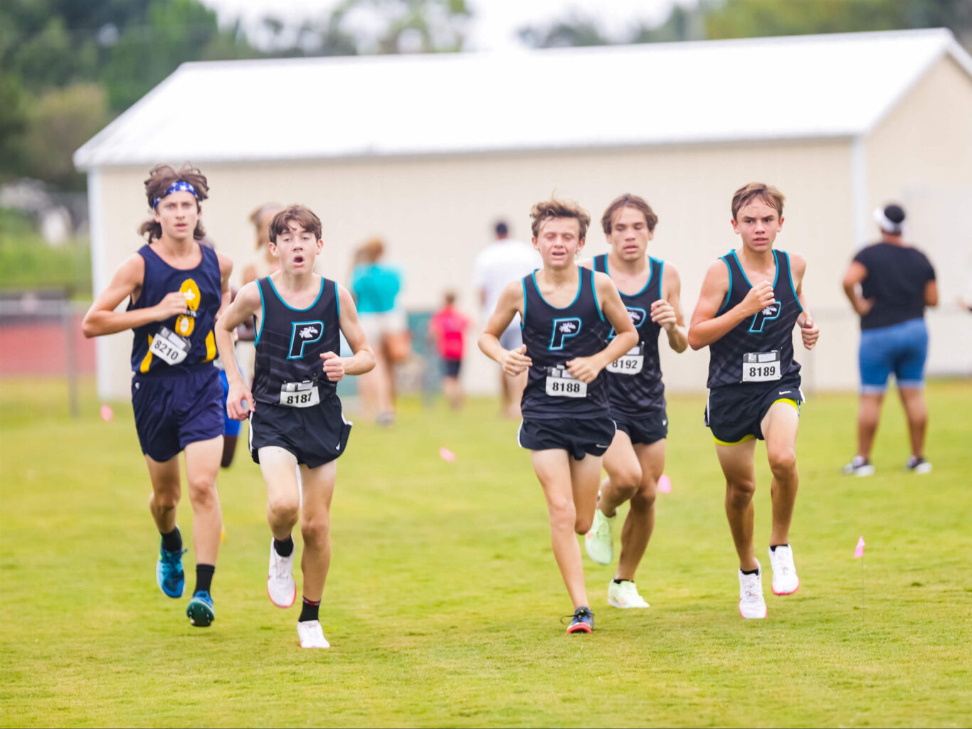 Teams of boys competing in a cross country race.