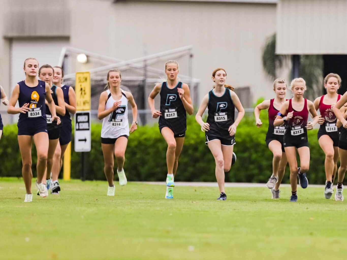 A team of girls participating in a cross country race.