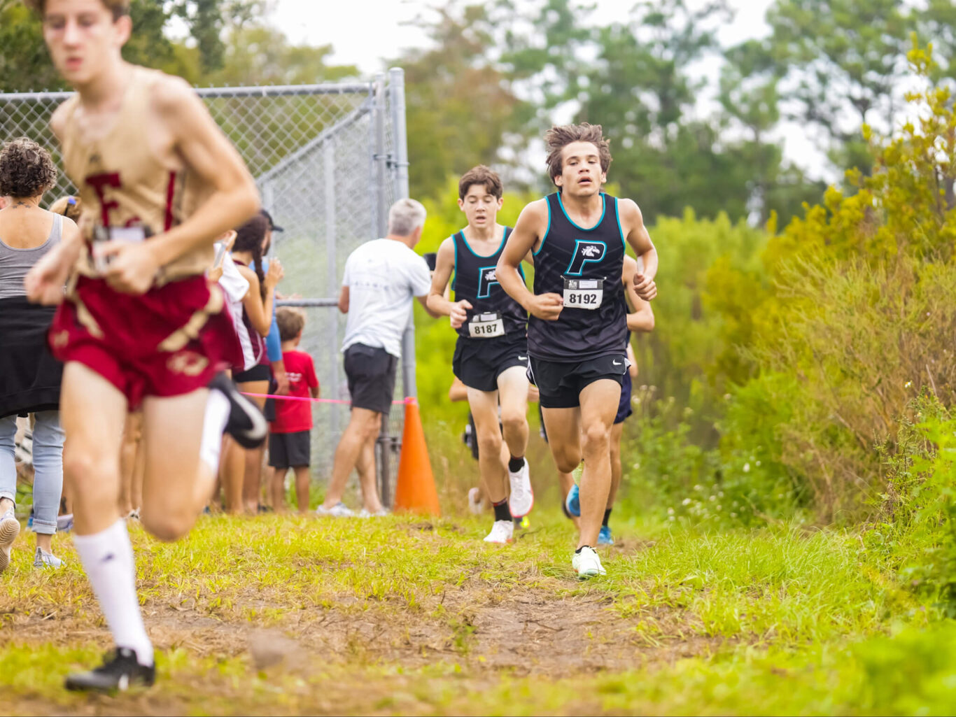 A bunch of boys participating in a cross country race.