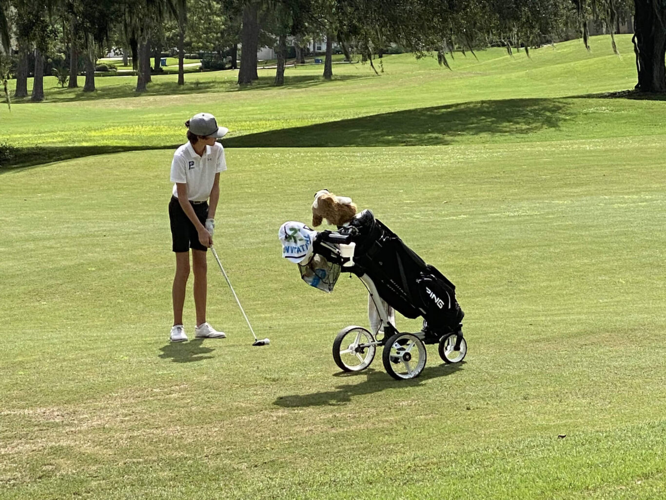 A boy gracefully holding a golf bag on a lush, green field.