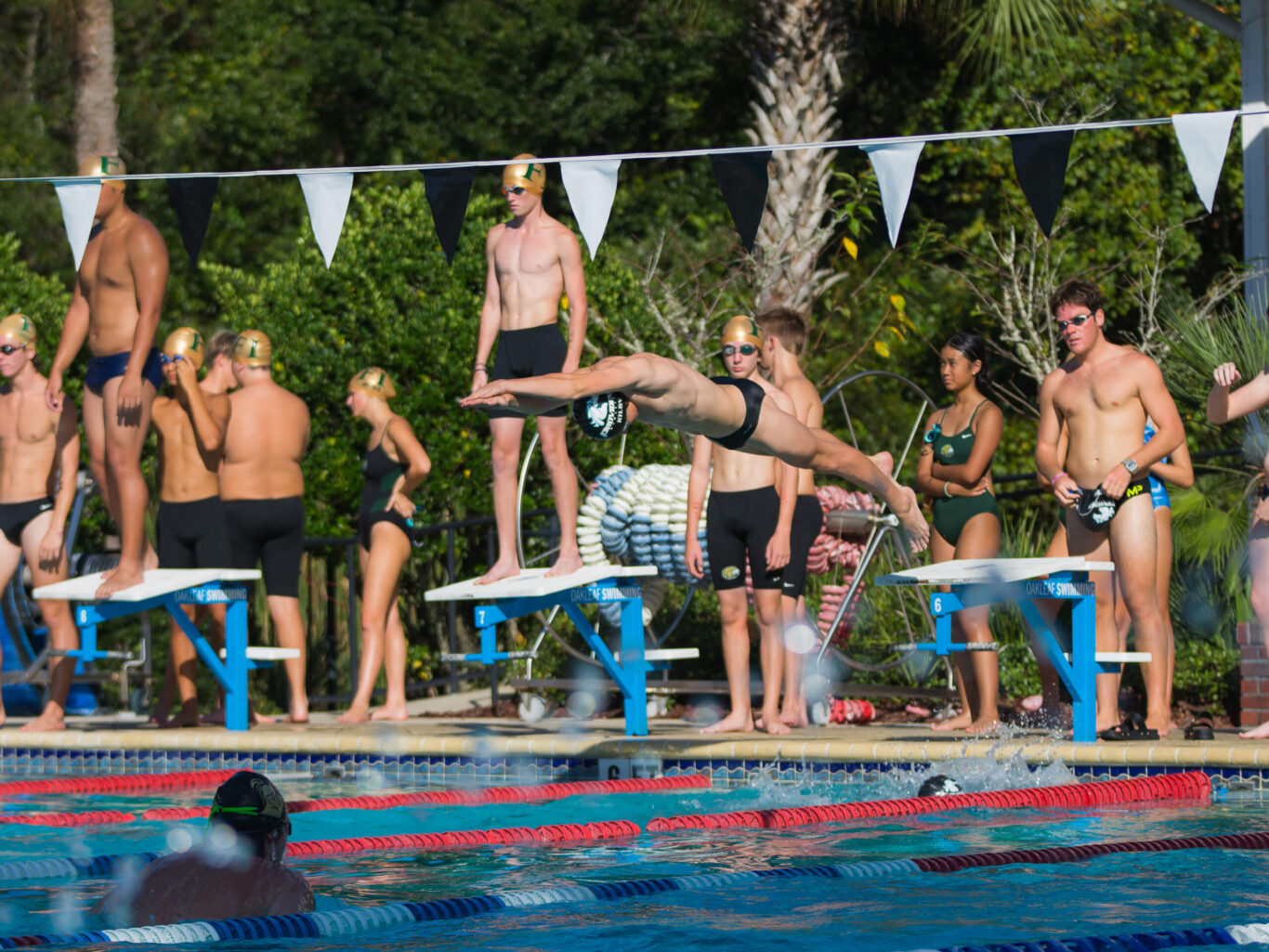         A group of boys swimming in a pool.