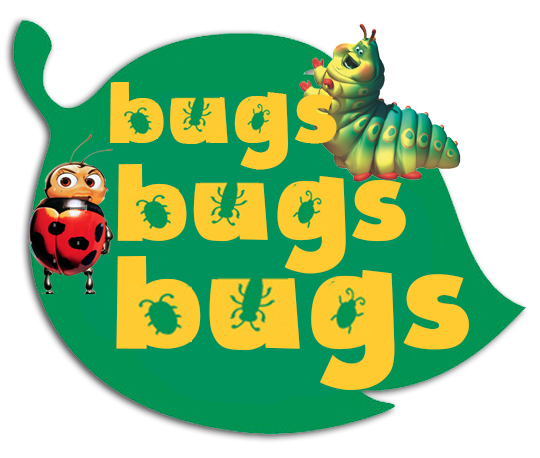 bugsbugsbugs